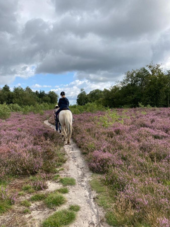 'T Heidepaleis Bed & Breakfast Garderen Eksteriør bilde