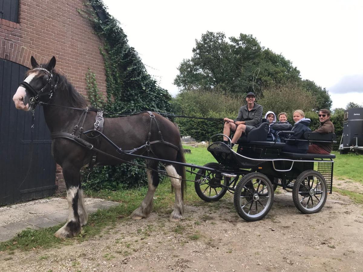 'T Heidepaleis Bed & Breakfast Garderen Eksteriør bilde